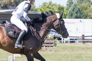 Vielseitigkeitsturnier RSV St. Hubertus Wesel Obrighoven