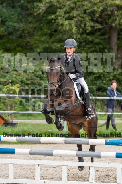 Late-Entry-Vielseitigkeit Langenfeld (06.+07.07.2020)