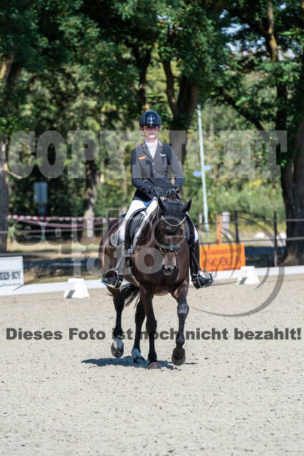 Kronenberg - De Peelbergen (August 2020)