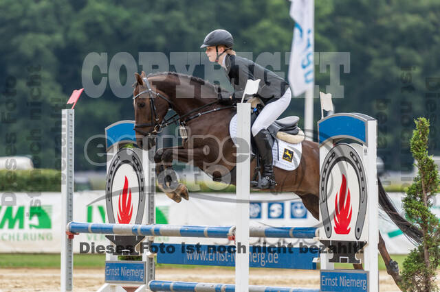Goldene Schärpe 2021 - Ponys