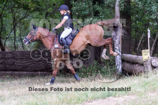 Late-Entry Vielseitigkeit Hamminkeln/Wesel (01.+02.08.2020)