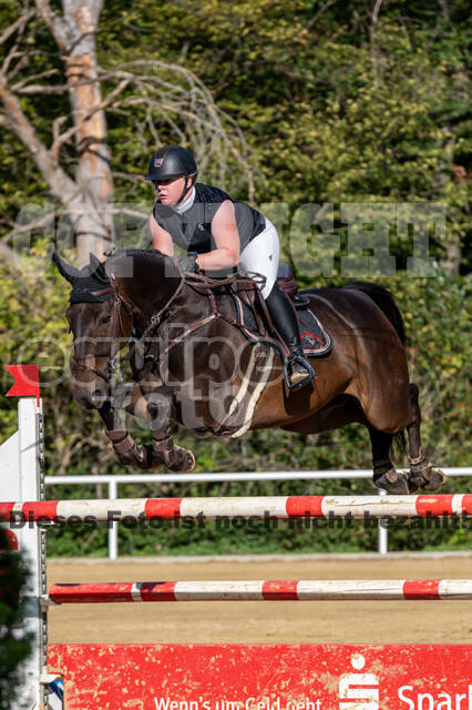 RFV Dinslaken-Hiesfeld (Herbstturnier)