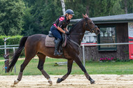 Hunter Geländetraining 10.07.2021 (Sonsbeck)