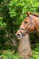 Westerstede Horse Trials 2021