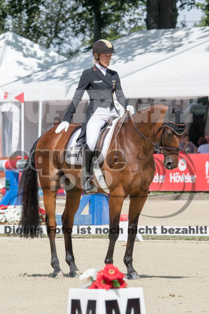 FEI European Championship Eventing 2017