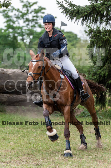 Late-Entry-Vielseitigkeit Langenfeld (11.+13./14.06.2020)