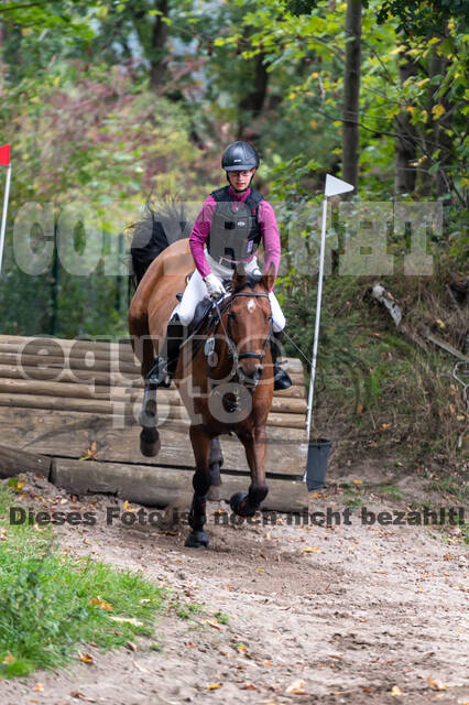 Goldene Schärpe 2020 - Pferde
