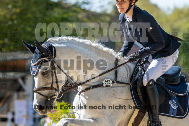 RFV Dinslaken-Hiesfeld (Herbstturnier)