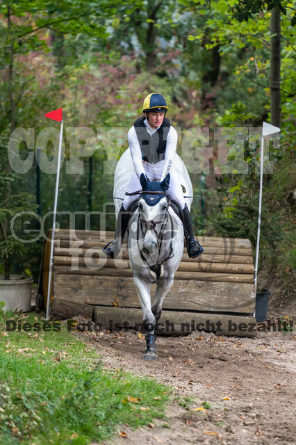 Goldene Schärpe 2020 - Pferde