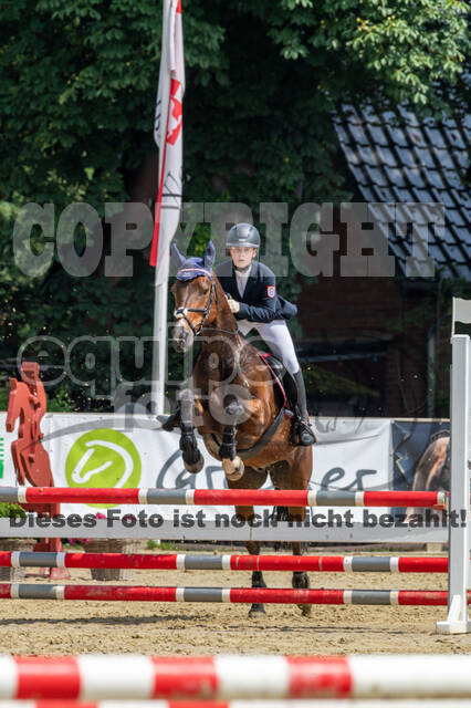 Goldene Schärpe 2021 - Ponys