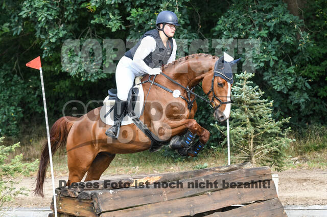 Late-Entry-Vielseitigkeit Langenfeld (11.+13./14.06.2020)