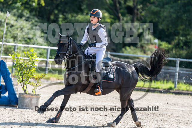 Late-Entry-Vielseitigkeit Langenfeld (11.+13./14.06.2020)