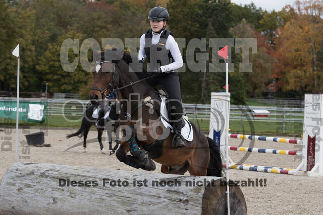 IGV Lehrgang der Sieger der Cups mit Frank Ostholt