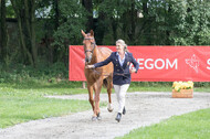 FEI European Championship Eventing 2017