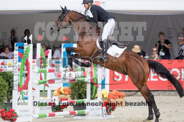 FEI European Championship Eventing 2017