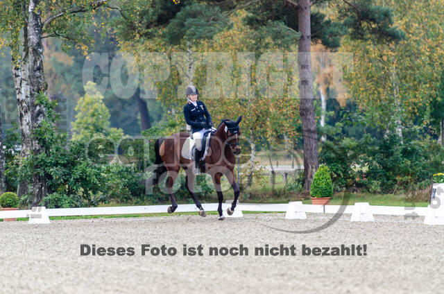 Deutsche Meisterschaft Vielseitigkeit (Luhmühlen)