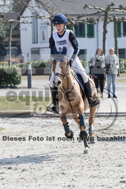 Eventing Langenfeld 2018
