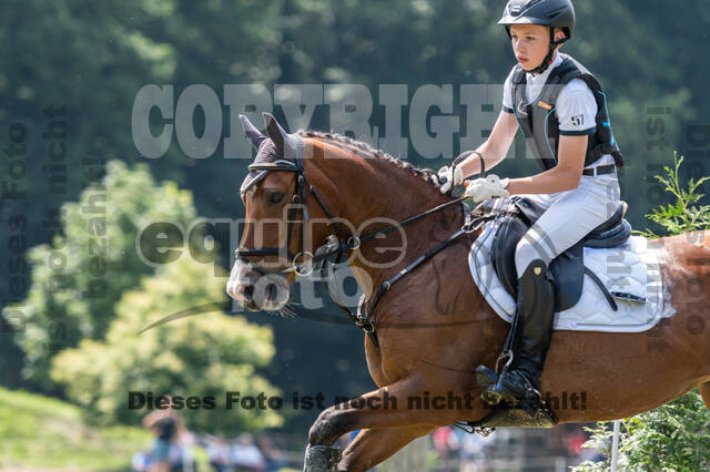 Goldene Schärpe 2021 - Ponys