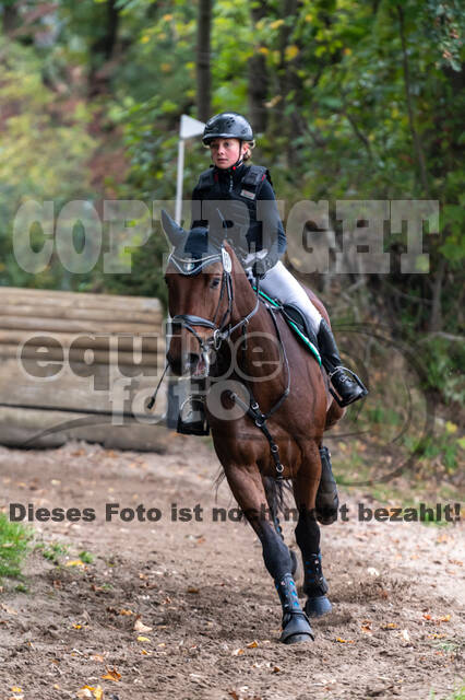 Goldene Schärpe 2020 - Pferde