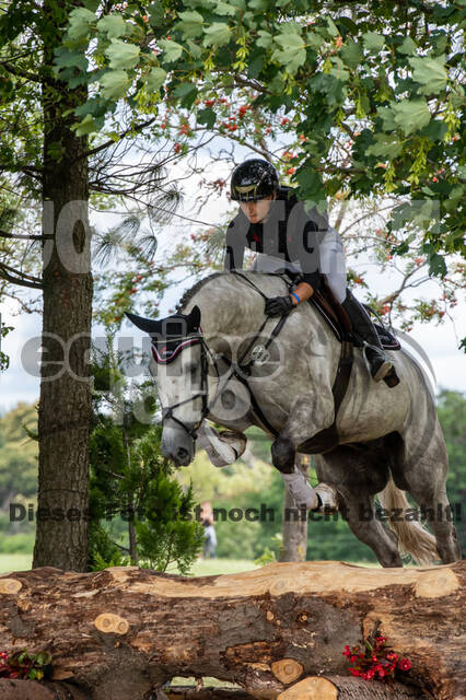 Bonn-Rodderberg Late-Entry-Vielseitigkeit (30.06.2020)