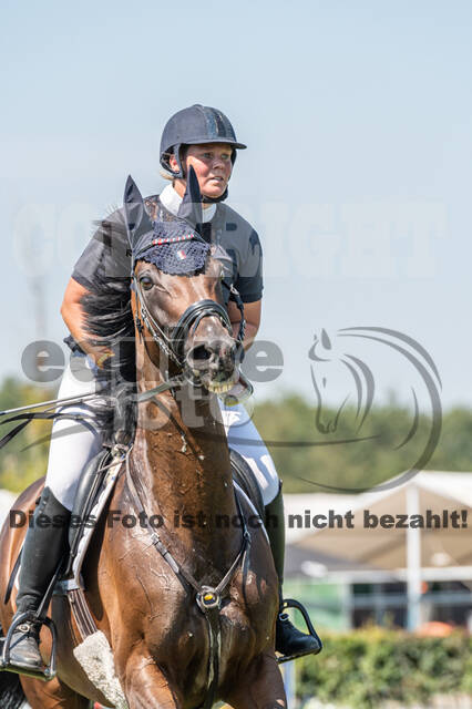 Kronenberg - De Peelbergen (August 2020)