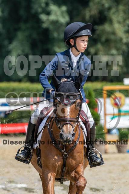 Goldene Schärpe 2021 - Ponys