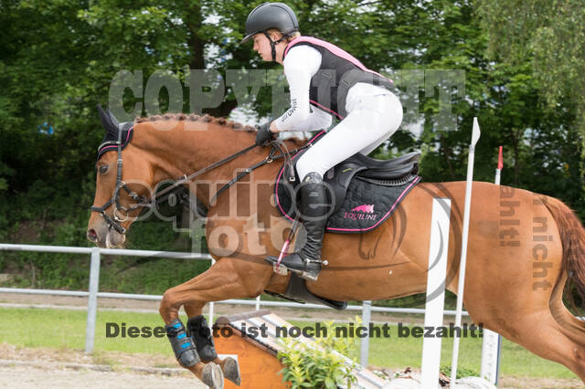 Eventing im Pferdesportzentrum Rheinland
