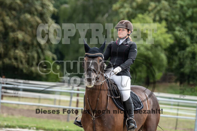 Late-Entry-Vielseitigkeit Langenfeld (06.+07.07.2020)