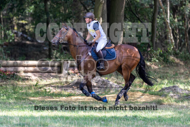 Late-Entry Vielseitigkeit Hamminkeln/Wesel (01.+02.08.2020)