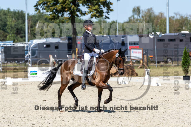 Kronenberg - De Peelbergen (August 2020)