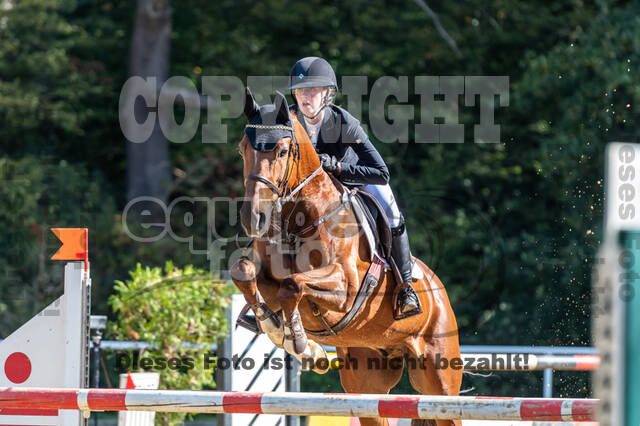 RFV Dinslaken-Hiesfeld (Herbstturnier)