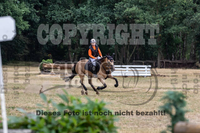 Late-Entry Vielseitigkeit Hamminkeln/Wesel (01.+02.08.2020)