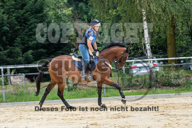 Hunter Geländetraining 10.07.2021 (Sonsbeck)