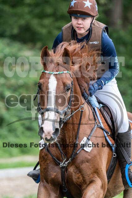 Late-Entry-Vielseitigkeit Langenfeld (06.+07.07.2020)