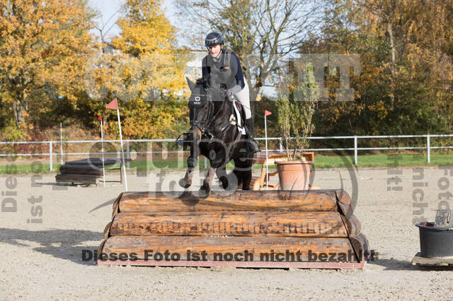 IGV Lehrgang der Sieger der Cups mit Frank Ostholt
