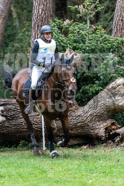 Vielseitigkeit RSV Wesel Obrighoven (26.+27.09.2020)