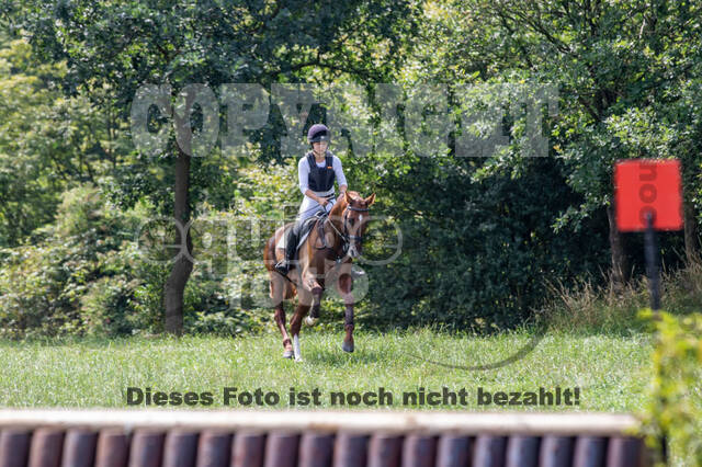 Late-Entry-Vielseitigkeit Gahlen (18.07.2020)