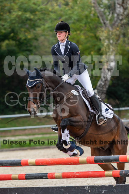 Goldene Schärpe 2020 - Pferde