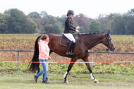 IGV Kleve