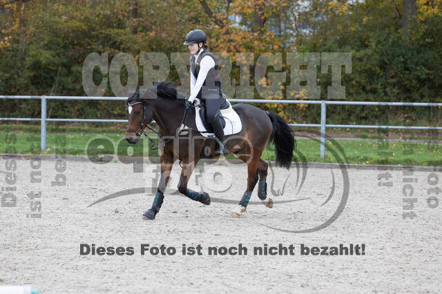 IGV Lehrgang der Sieger der Cups mit Frank Ostholt