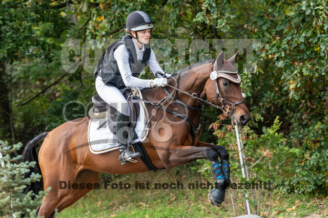 Goldene Schärpe 2020 - Pferde