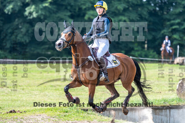 Goldene Schärpe 2021 - Ponys