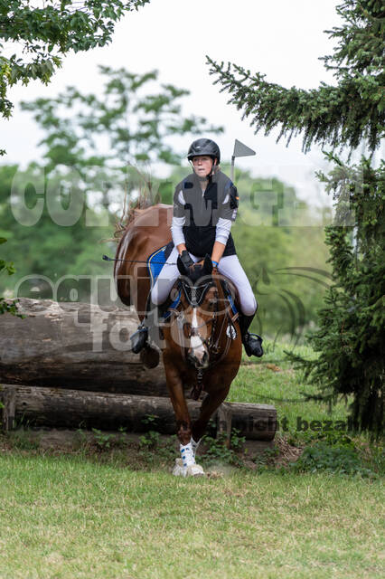 Late-Entry-Vielseitigkeit Langenfeld (11.+13./14.06.2020)