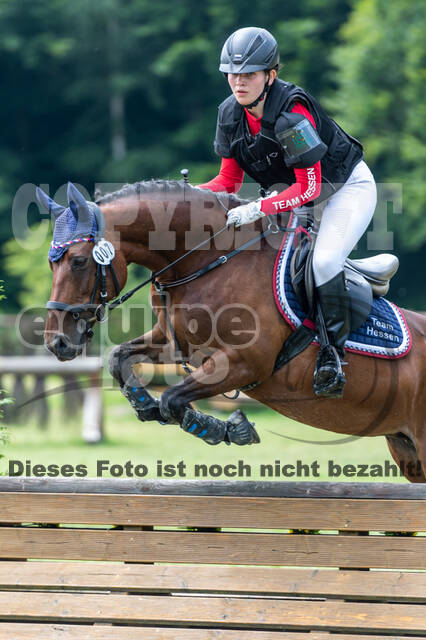 Goldene Schärpe 2021 - Ponys