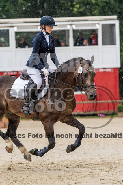 Goldene Schärpe 2021 - Ponys