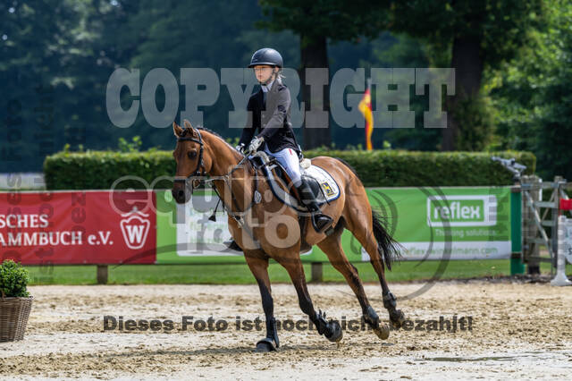 Goldene Schärpe 2021 - Ponys