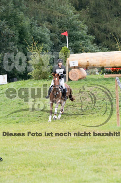 FEI European Championship Eventing 2017