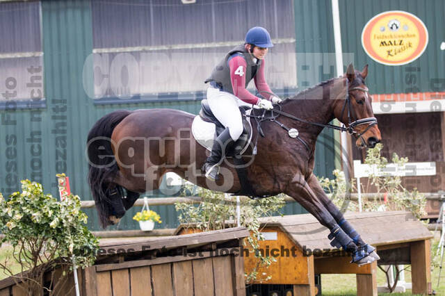 Jungpferdetag Hamminkeln