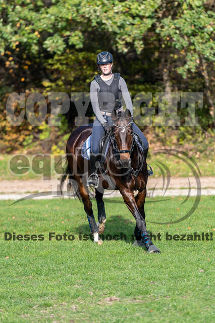 IGV Lehrgang der Sieger der Cups mit Frank Ostholt