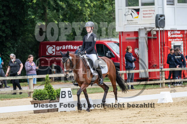 Goldene Schärpe 2021 - Ponys